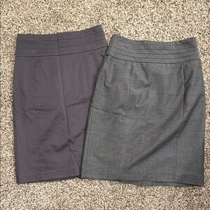 Elegant Gray Women's Skirts